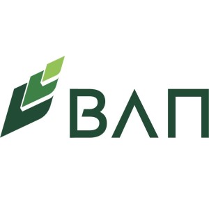 ВЛП